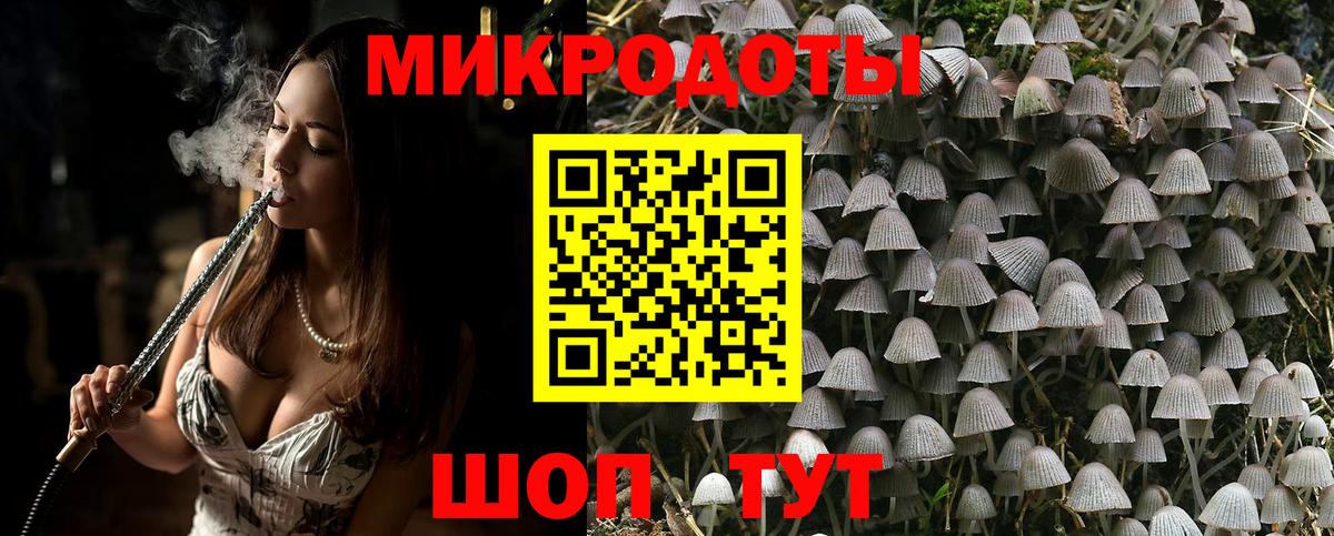Заринск  наркотики  Вход с VPN  Галлюциногенные грибы Cubensis 