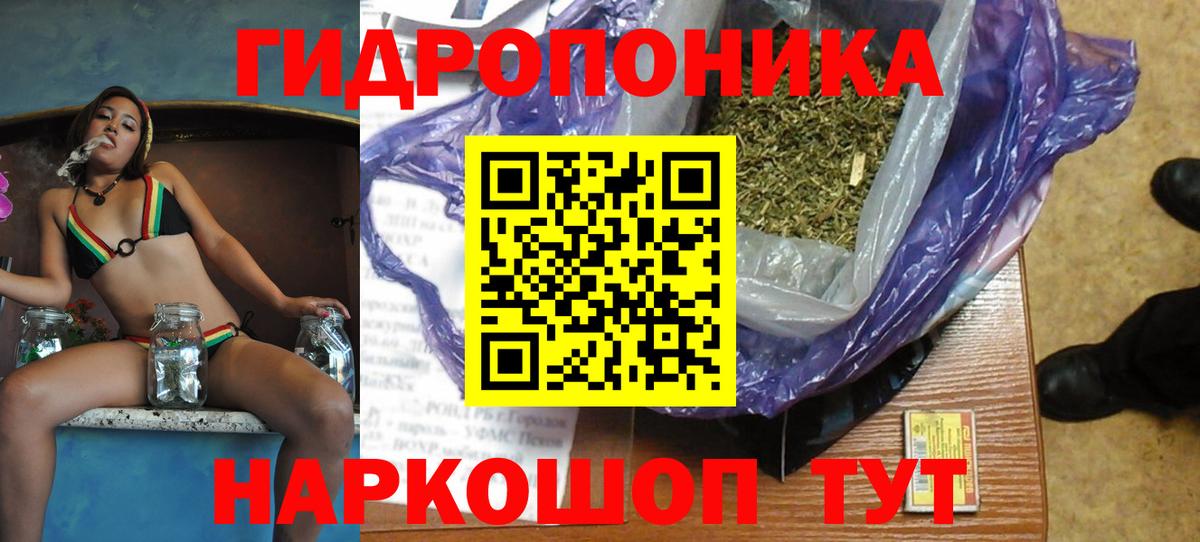 Каннабис Bruce Banner  Марихуана семена  Марихуана индика  Вход с VPN  Бошки Шишки семена  Заринск 